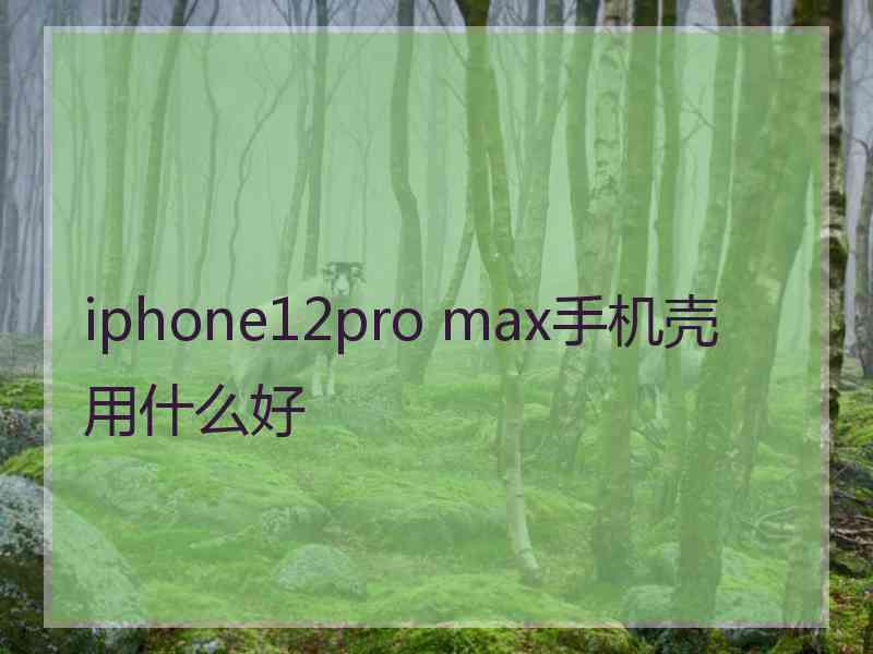 iphone12pro max手机壳用什么好