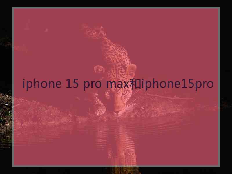 iphone 15 pro max和iphone15pro