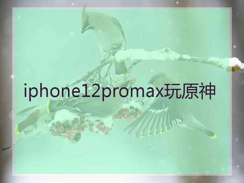 iphone12promax玩原神