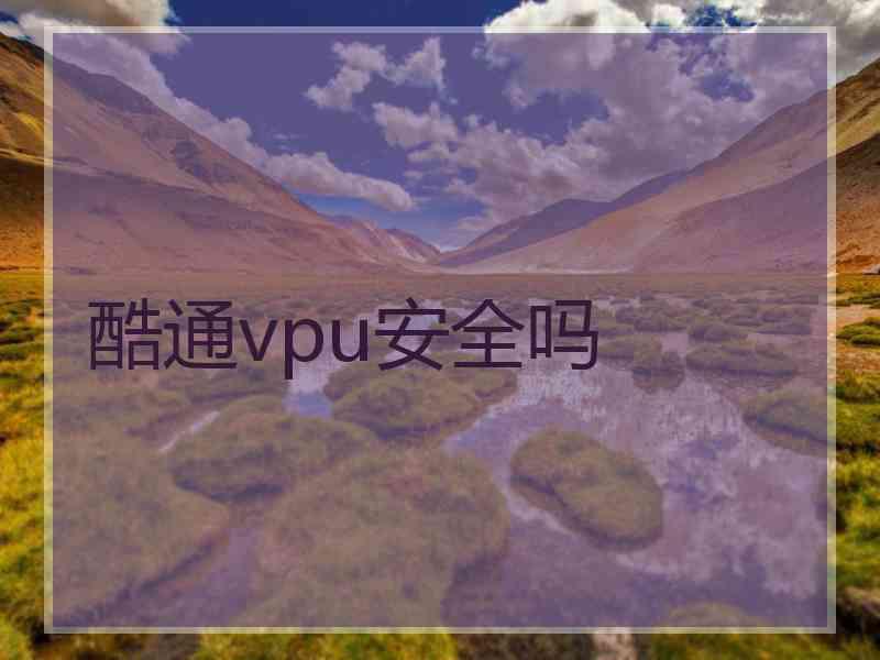 酷通vpu安全吗