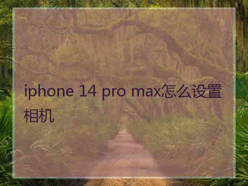 iphone 14 pro max怎么设置相机