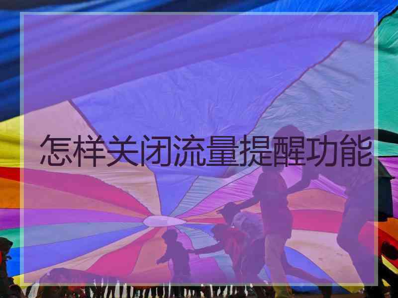 怎样关闭流量提醒功能