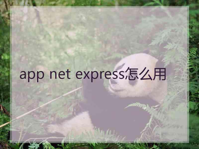 app net express怎么用