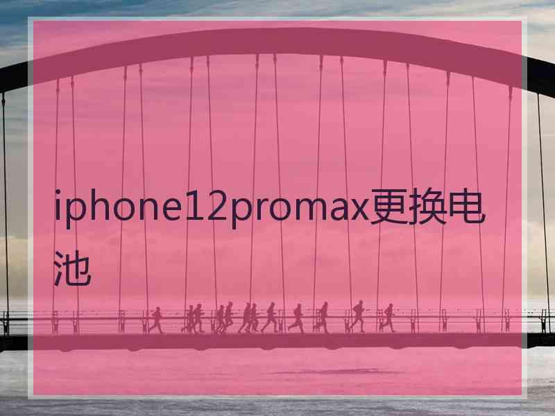 iphone12promax更换电池