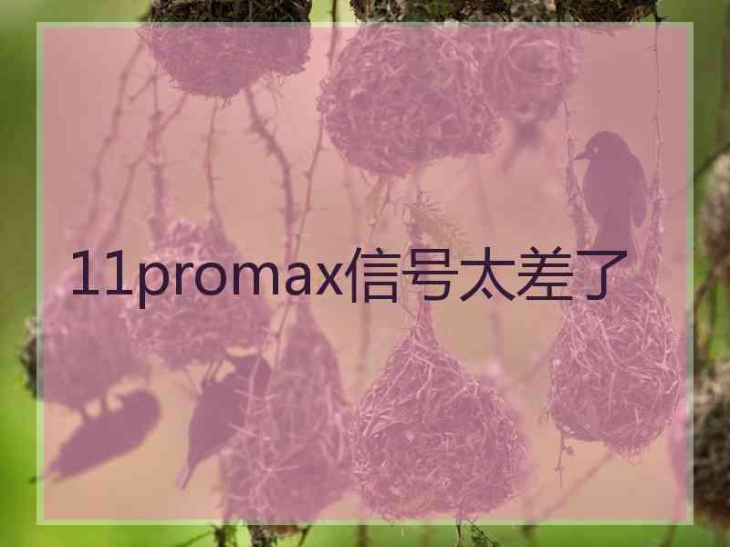 11promax信号太差了