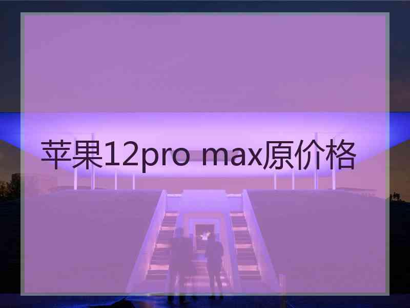 苹果12pro max原价格