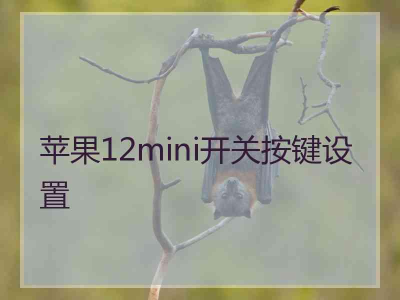 苹果12mini开关按键设置