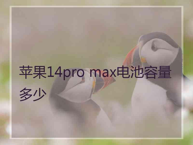 苹果14pro max电池容量多少