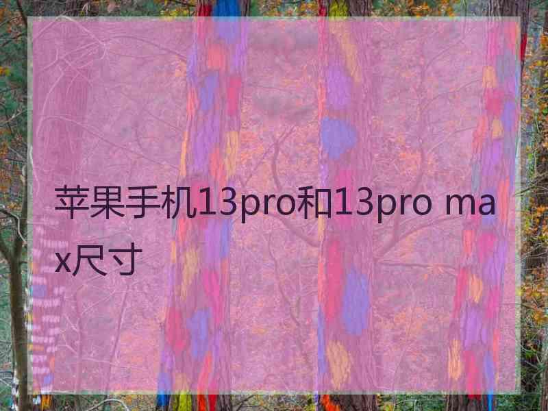 苹果手机13pro和13pro max尺寸