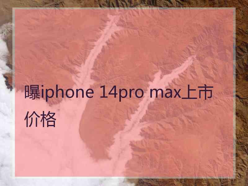 曝iphone 14pro max上市价格