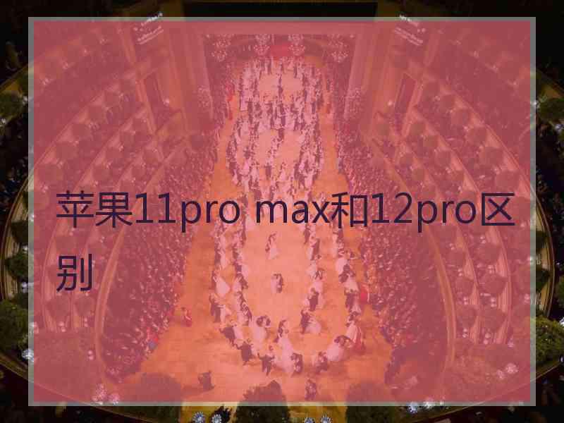 苹果11pro max和12pro区别