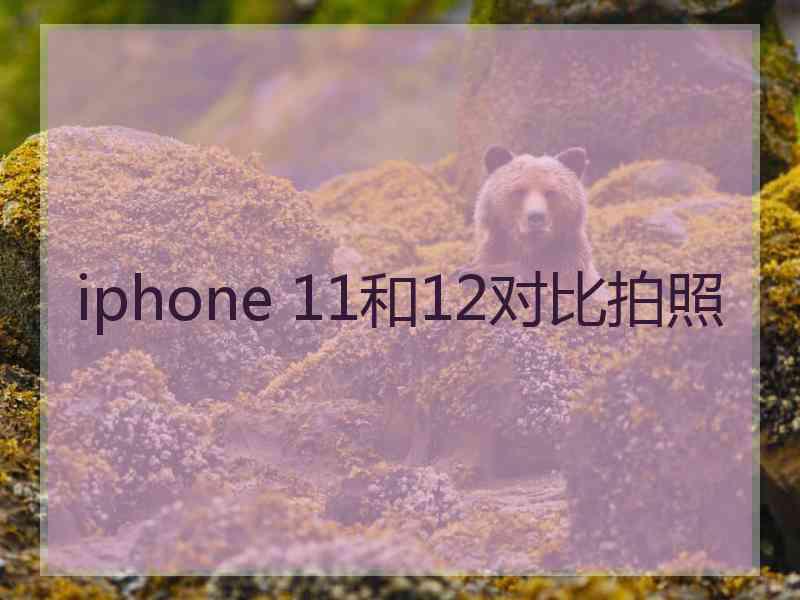 iphone 11和12对比拍照