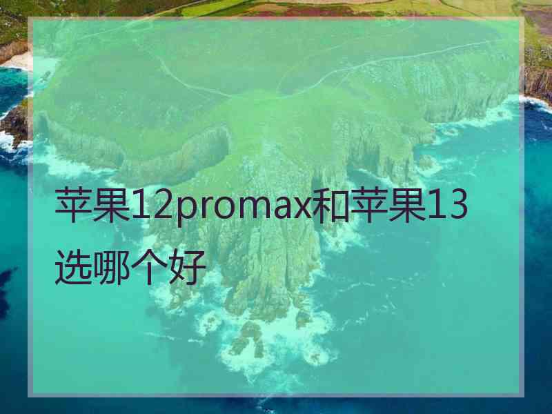 苹果12promax和苹果13选哪个好