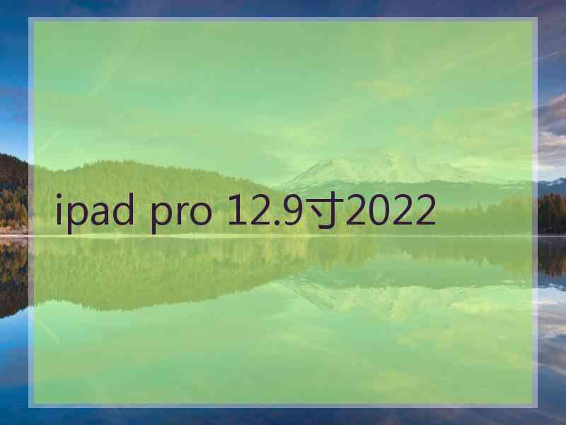 ipad pro 12.9寸2022