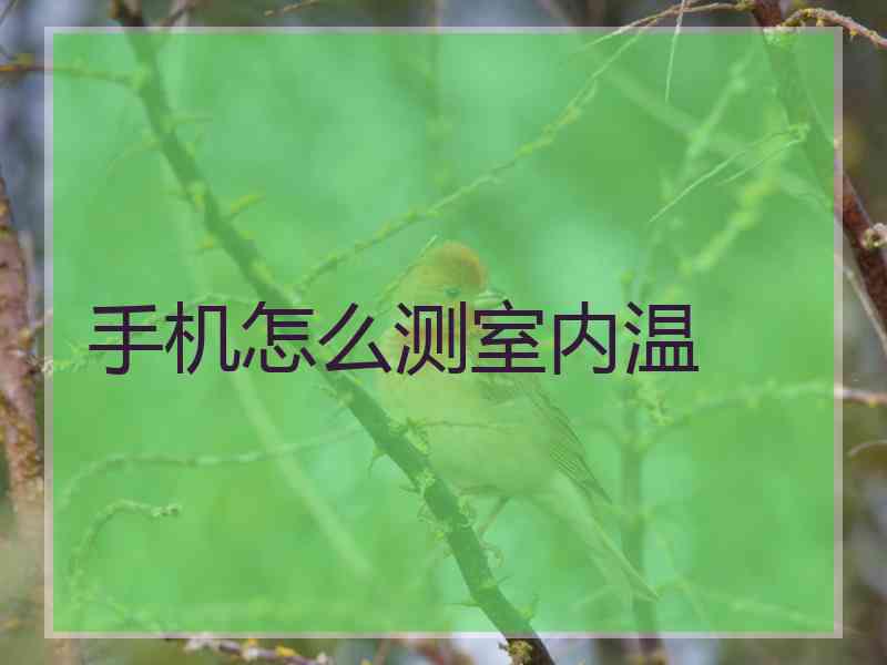 手机怎么测室内温