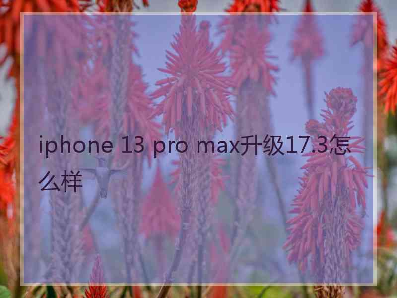 iphone 13 pro max升级17.3怎么样