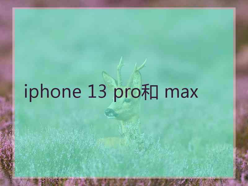 iphone 13 pro和 max