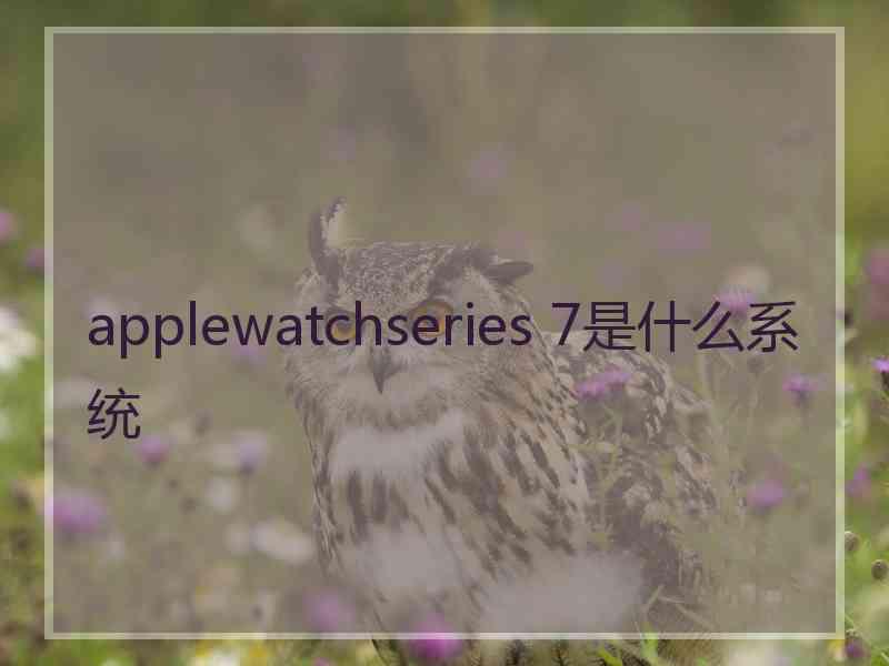 applewatchseries 7是什么系统