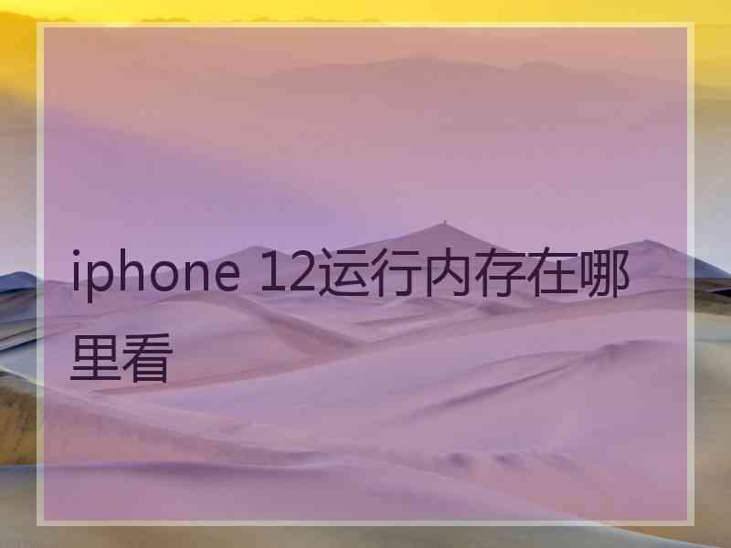 iphone 12运行内存在哪里看