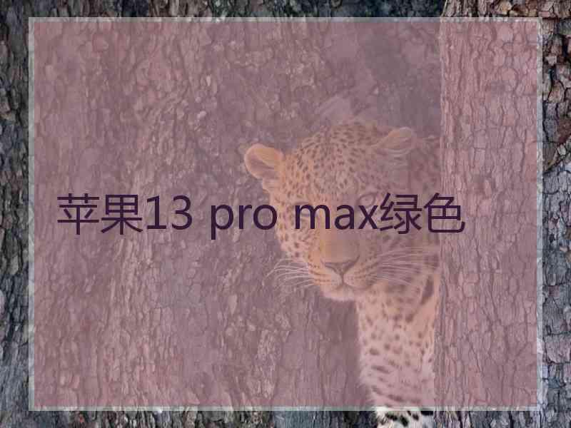 苹果13 pro max绿色