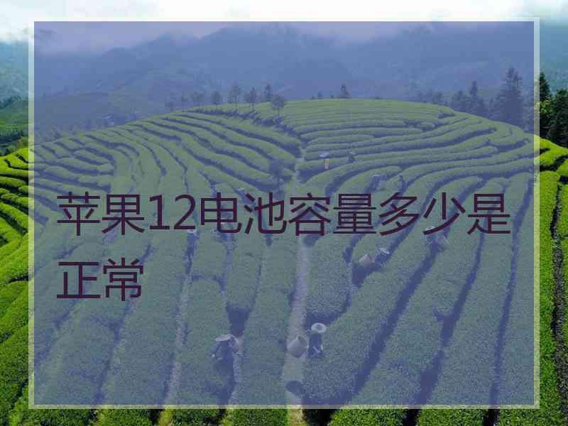 苹果12电池容量多少是正常