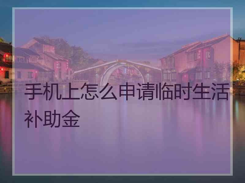 手机上怎么申请临时生活补助金