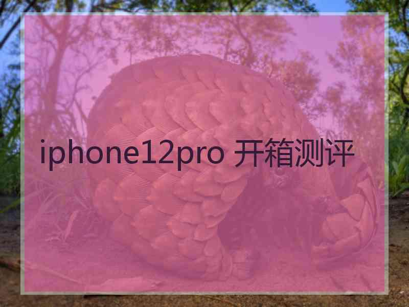 iphone12pro 开箱测评