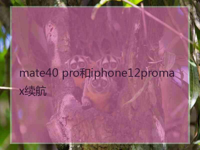 mate40 pro和iphone12promax续航