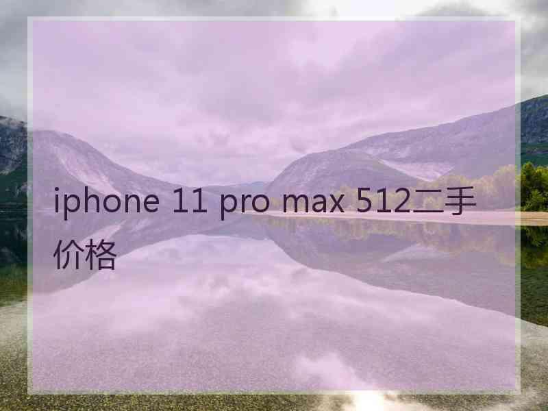 iphone 11 pro max 512二手价格