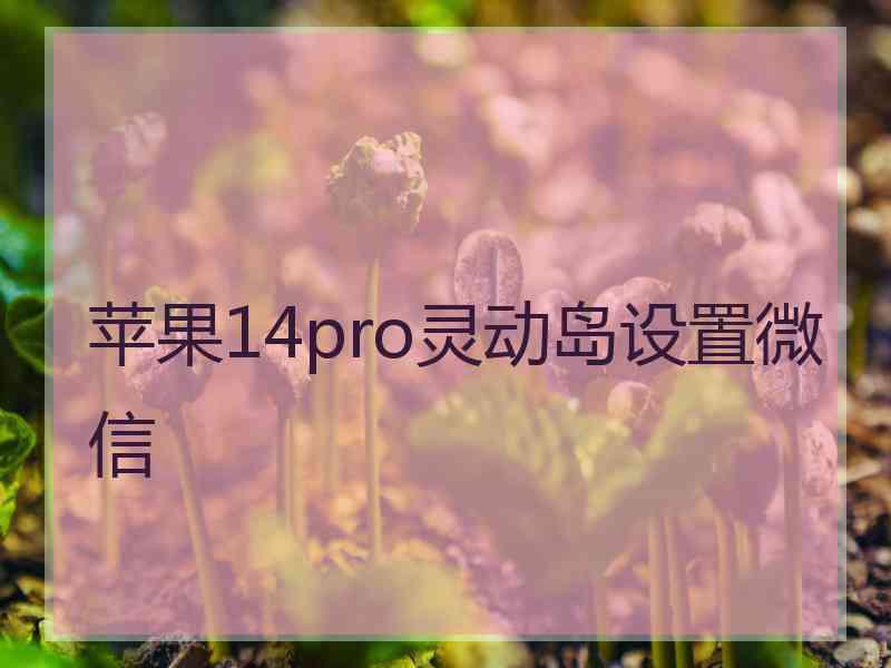 苹果14pro灵动岛设置微信