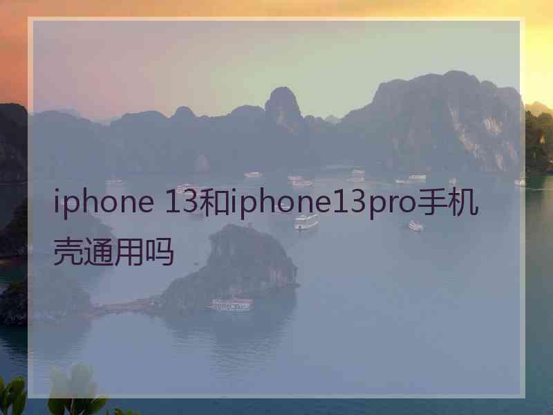 iphone 13和iphone13pro手机壳通用吗