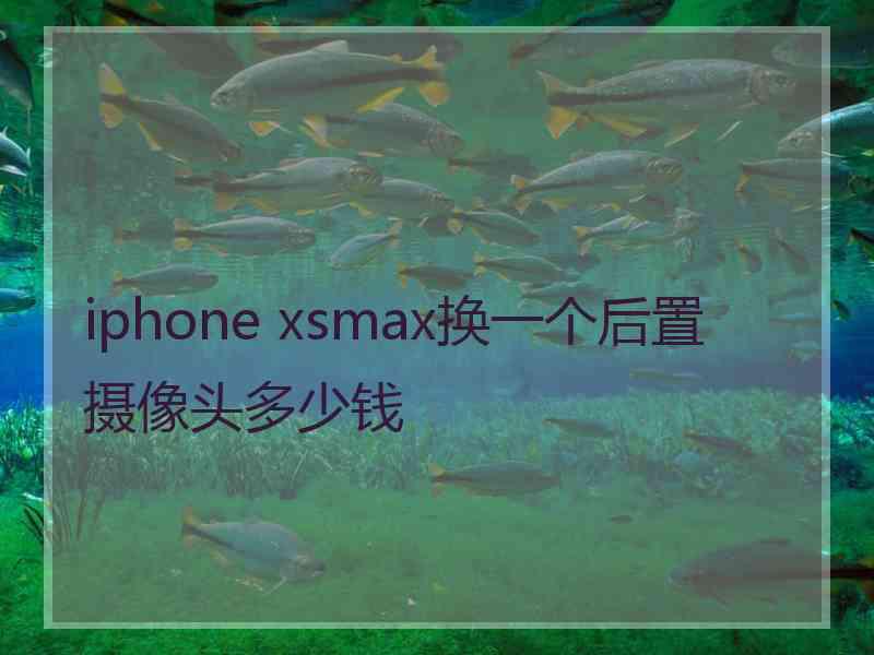 iphone xsmax换一个后置摄像头多少钱