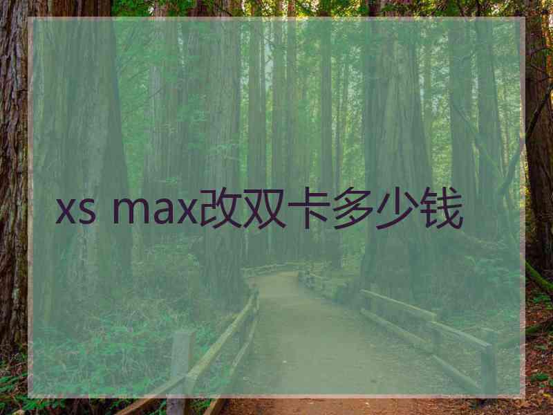 xs max改双卡多少钱