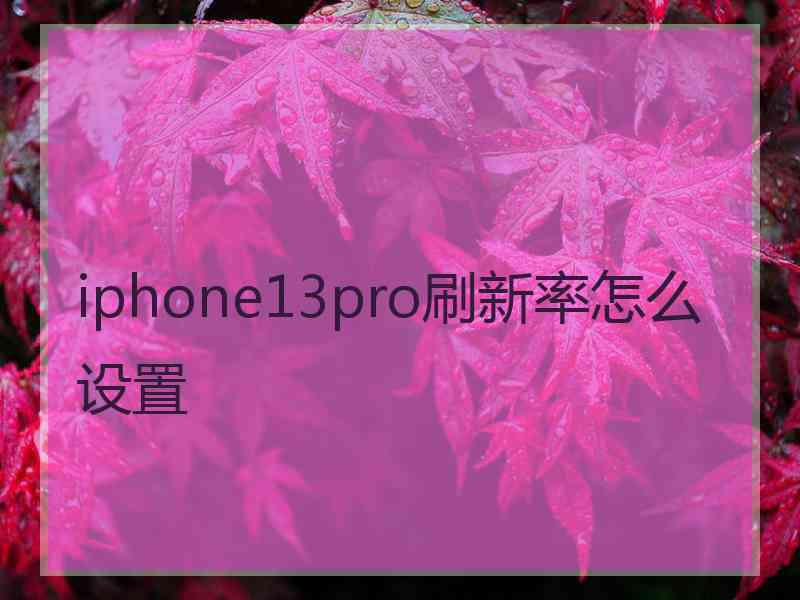 iphone13pro刷新率怎么设置