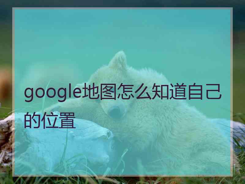 google地图怎么知道自己的位置