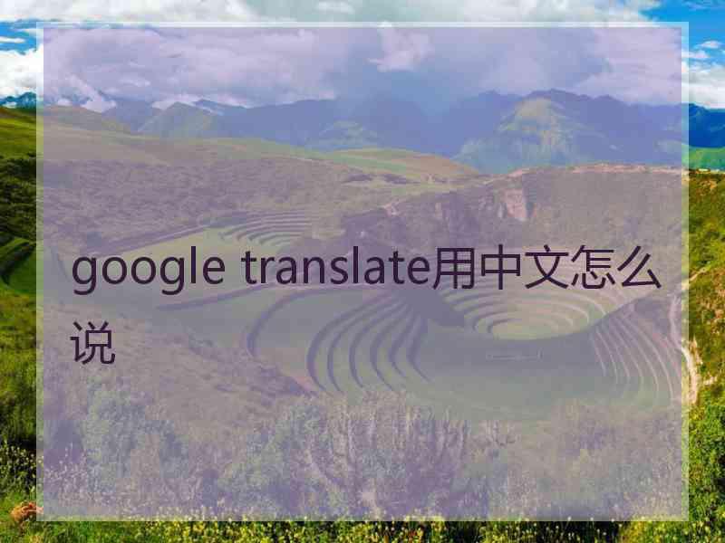 google translate用中文怎么说