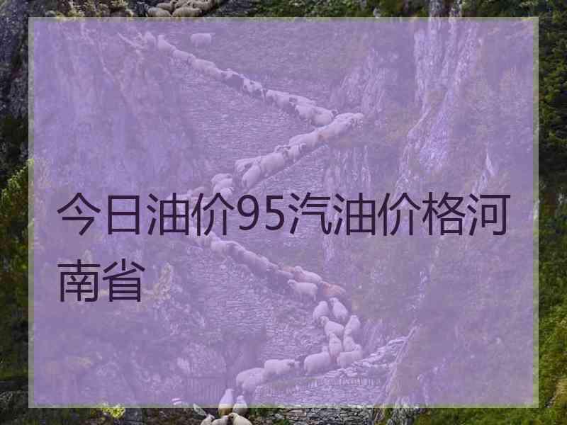 今日油价95汽油价格河南省