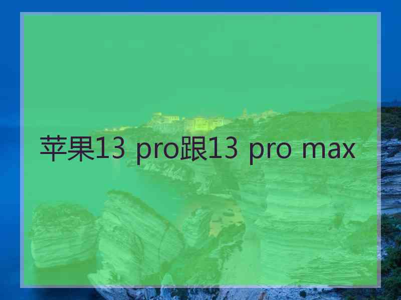 苹果13 pro跟13 pro max