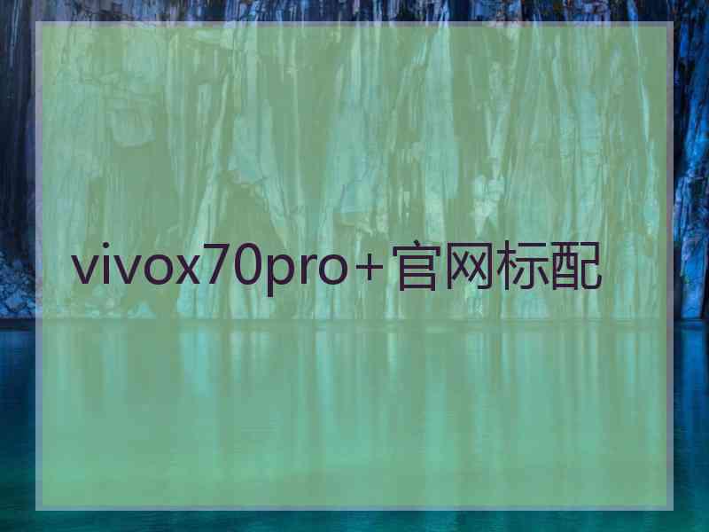 vivox70pro+官网标配