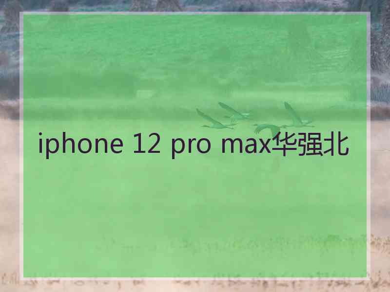 iphone 12 pro max华强北