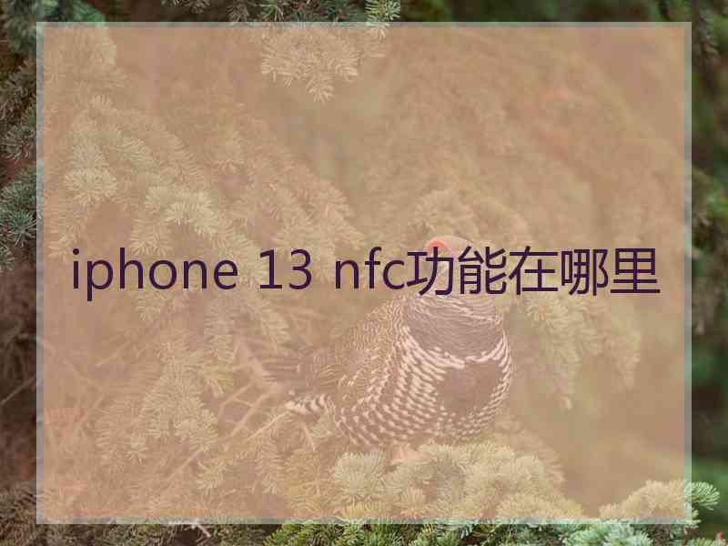 iphone 13 nfc功能在哪里