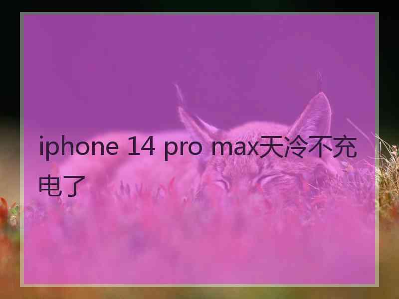 iphone 14 pro max天冷不充电了