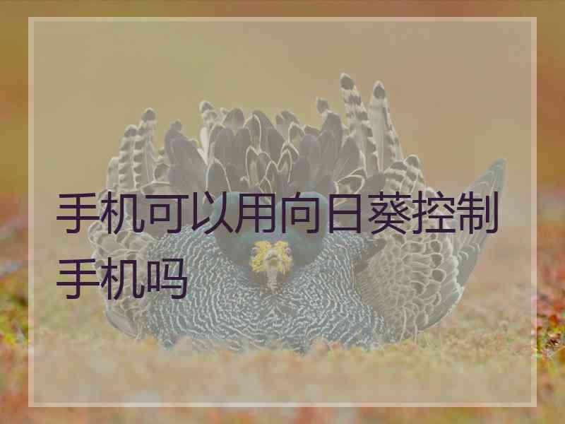 手机可以用向日葵控制手机吗