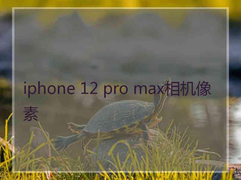 iphone 12 pro max相机像素