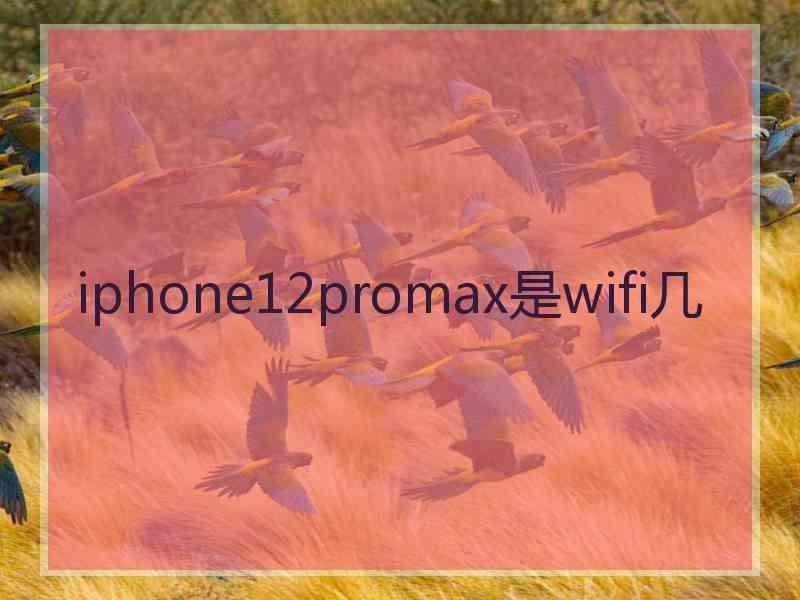 iphone12promax是wifi几