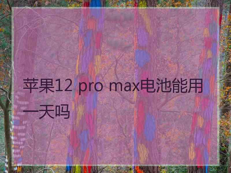 苹果12 pro max电池能用一天吗