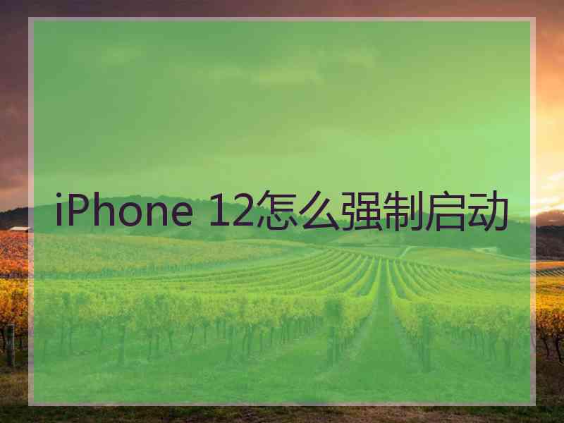 iPhone 12怎么强制启动