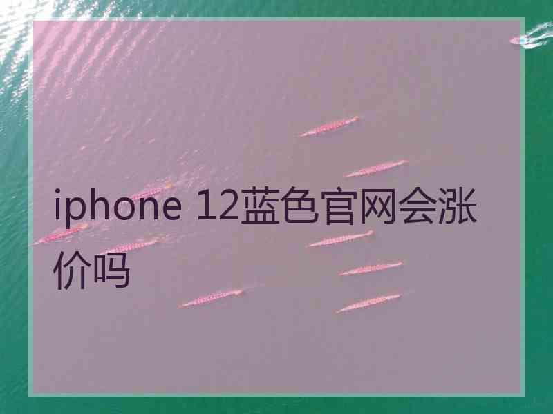 iphone 12蓝色官网会涨价吗