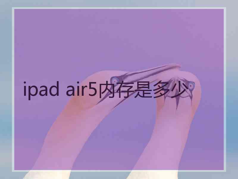 ipad air5内存是多少