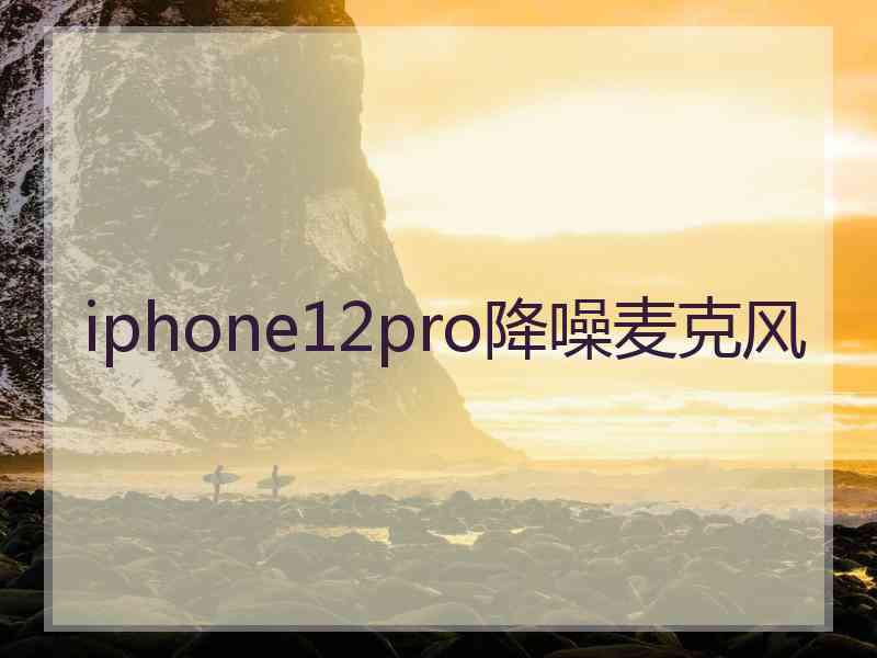 iphone12pro降噪麦克风